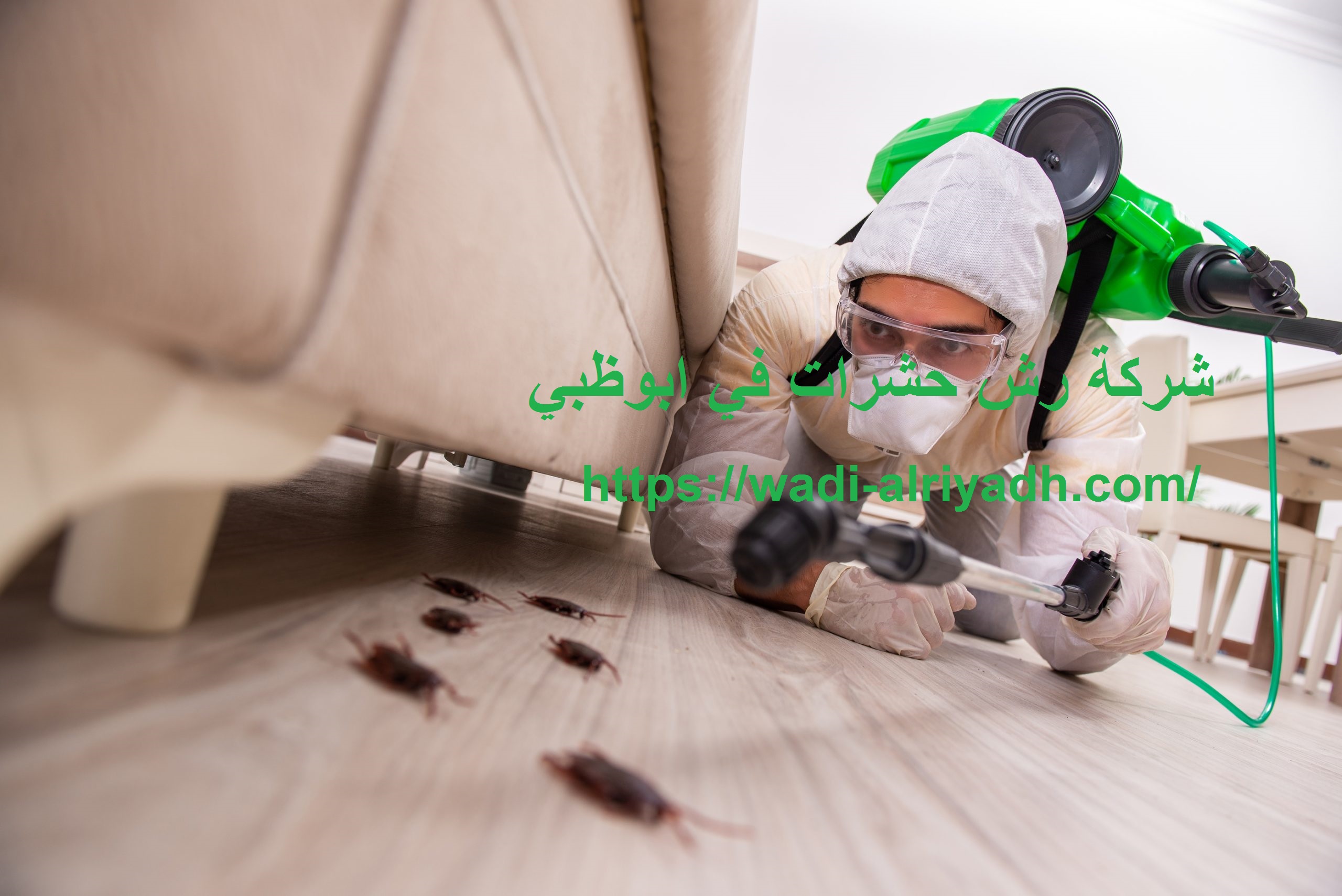 شركة رش حشرات في ابوظبي |0555403225| مكافحة حشرات