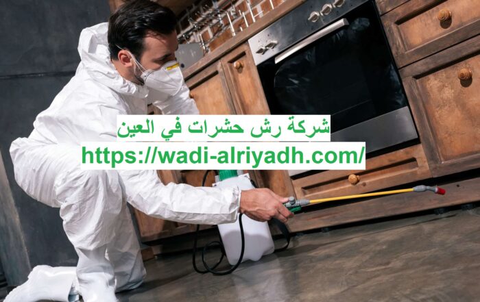 شركة رش حشرات في العين