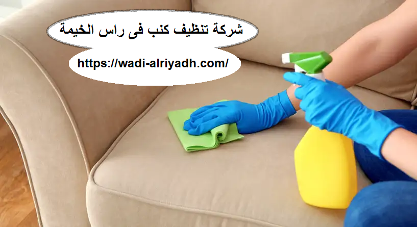 شركة تنظيف كنب فى راس الخيمة