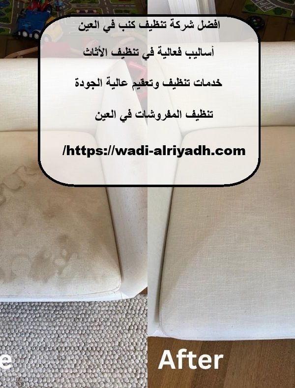 افضل شركة تنظيف كنب في العين