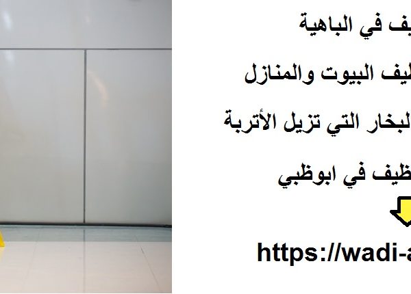 شركة تنظيف في الباهية