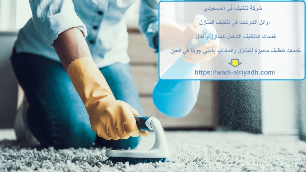 شركة تنظيف في المسعودي