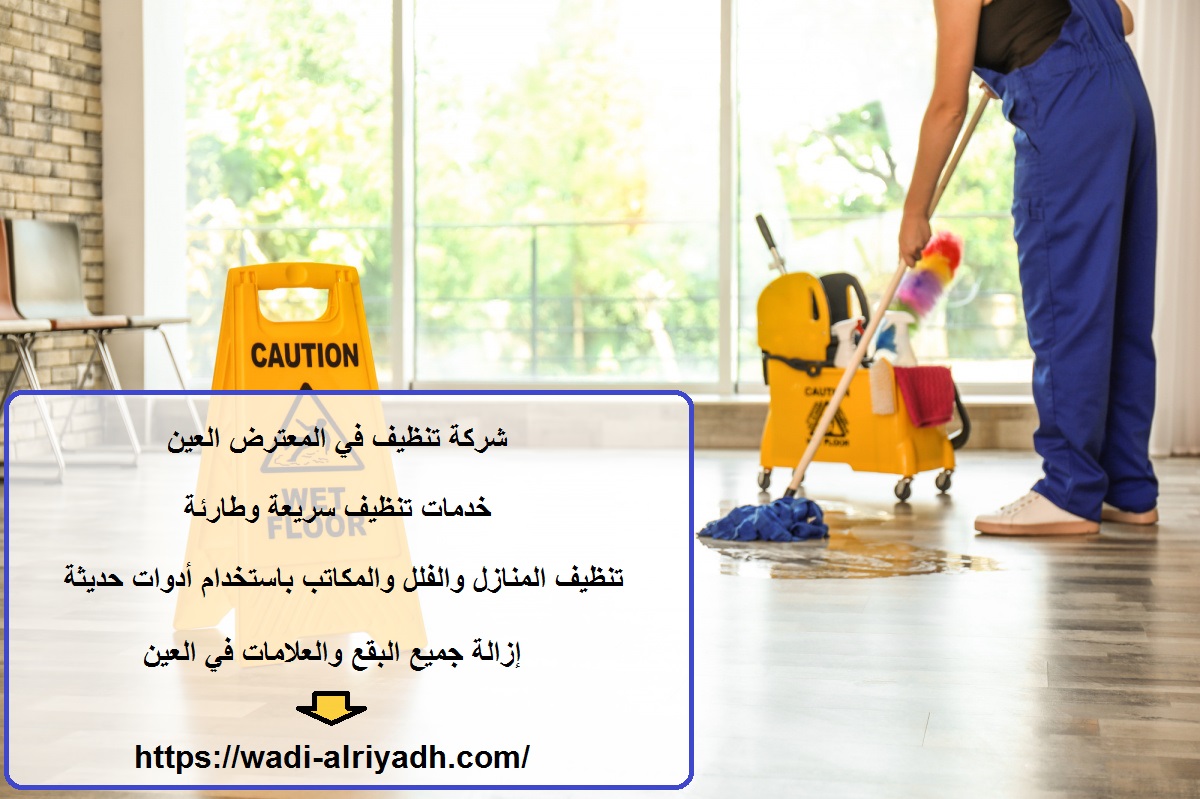 شركة تنظيف في المعترض العين