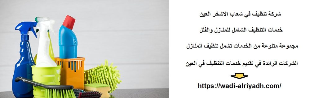 شركة تنظيف في شعاب الاشخر العين