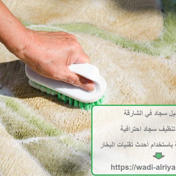 غسيل سجاد في الشارقة