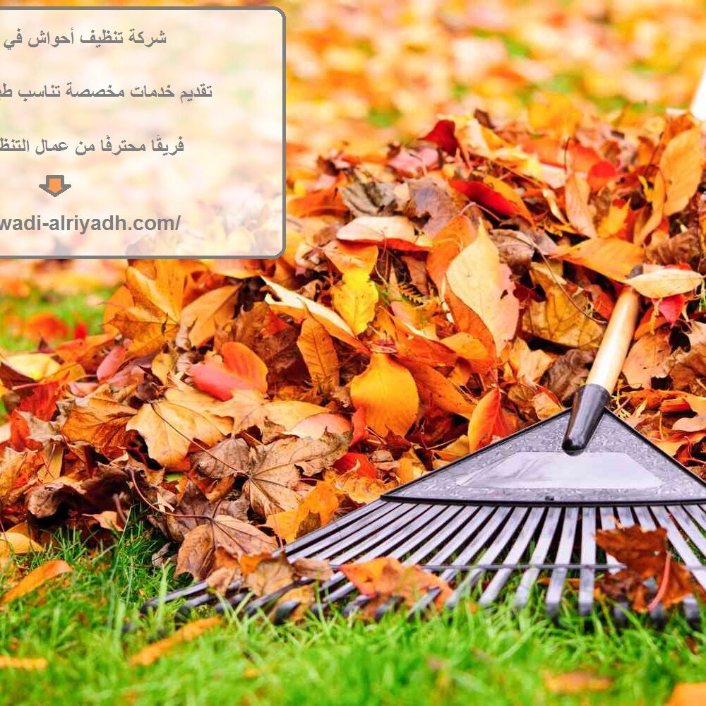شركة تنظيف أحواش في الشارقة