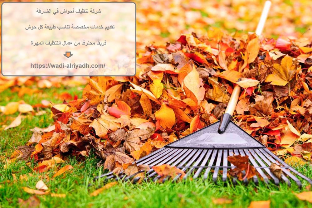 شركة تنظيف أحواش في الشارقة