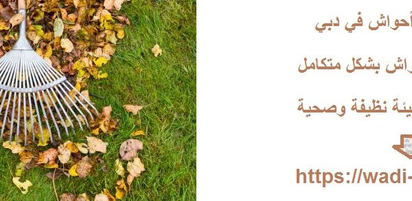 شركة تنظيف أحواش في دبي