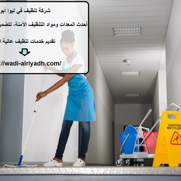شركة تنظيف في ليوا أبوظبي