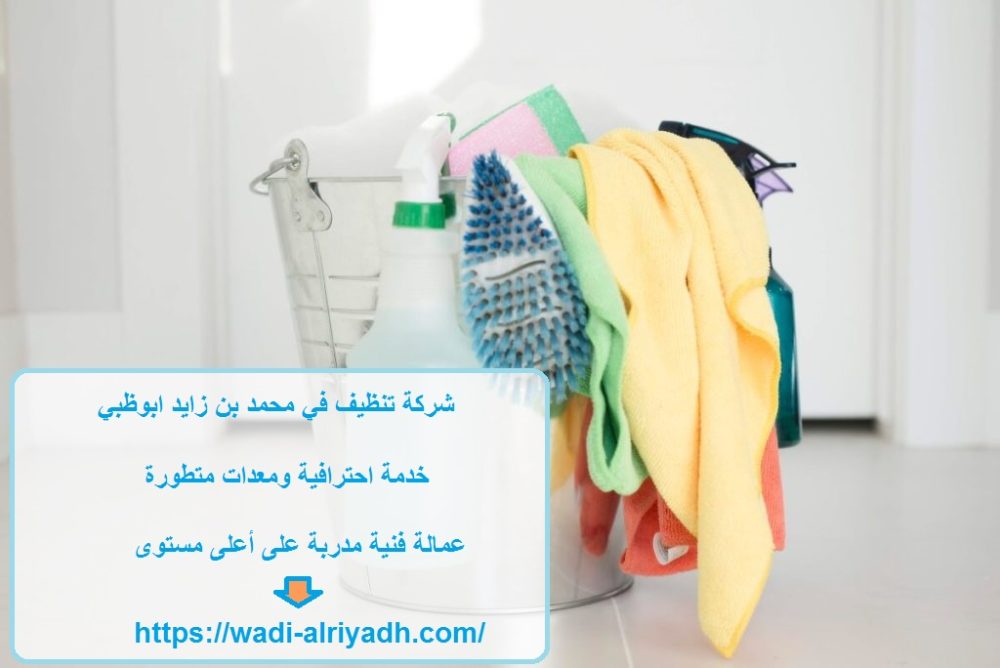 شركة تنظيف في محمد بن زايد ابوظبي