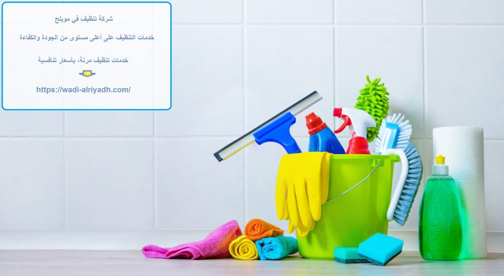 شركة تنظيف في مويلح