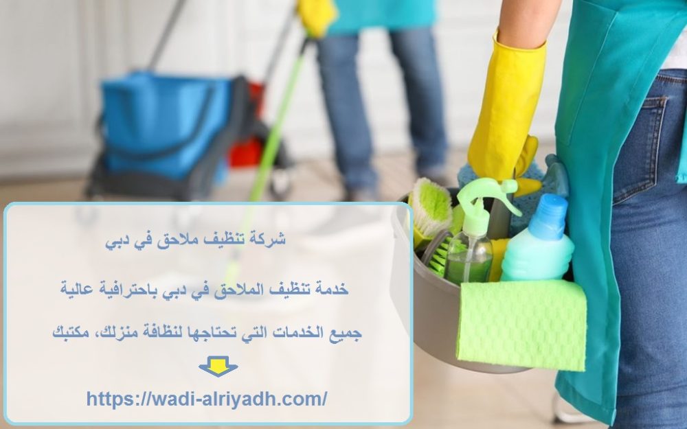 شركة تنظيف ملاحق في دبي