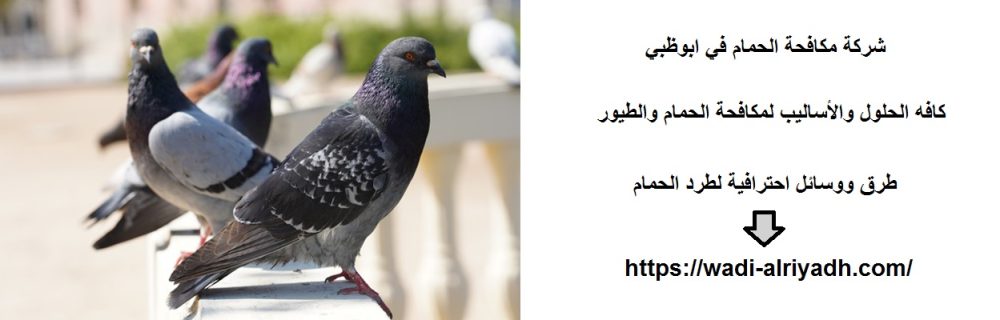 شركة مكافحة الحمام في ابوظبي