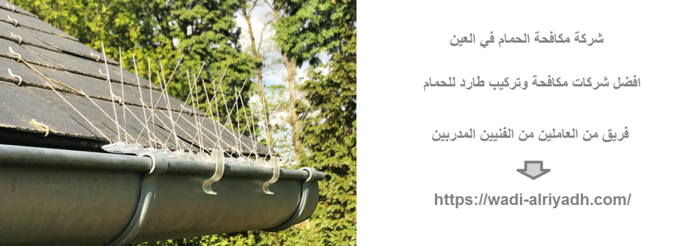 شركة مكافحة الحمام في العين