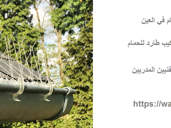 شركة مكافحة الحمام في العين