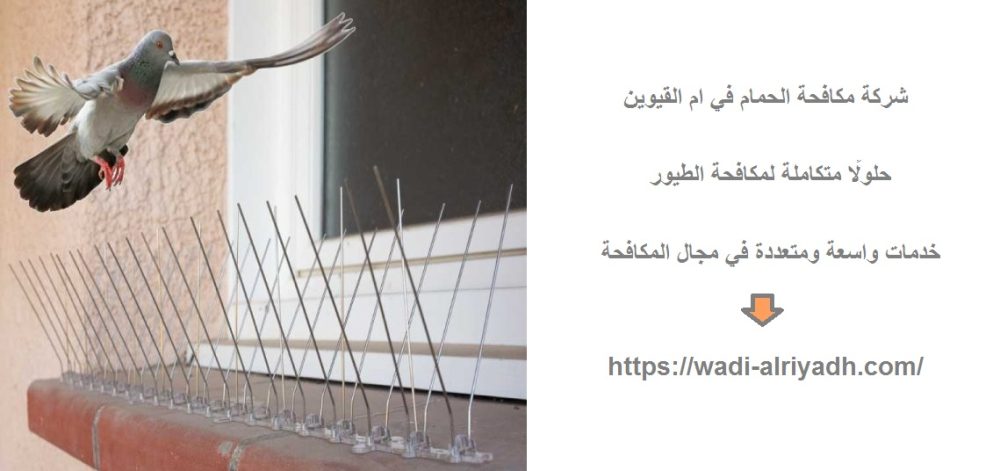 شركة مكافحة الحمام في ام القيوين