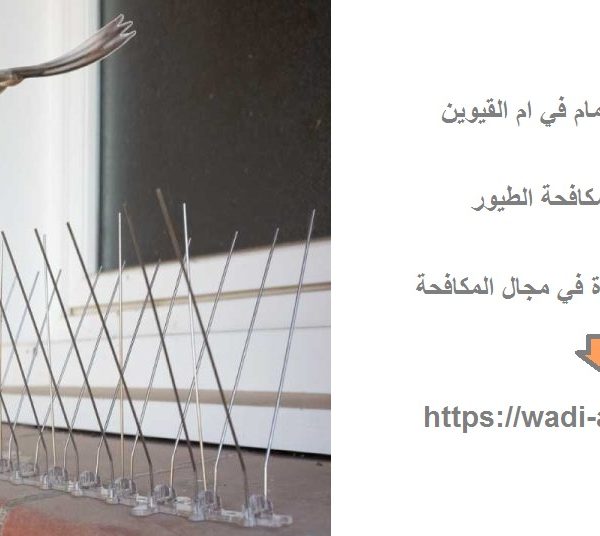 شركة مكافحة الحمام في ام القيوين