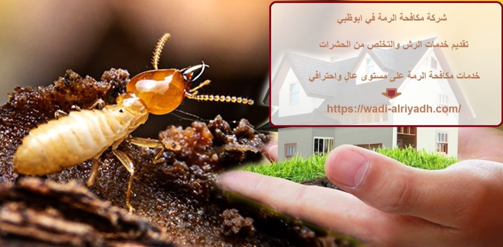 شركة مكافحة الرمة في ابوظبي