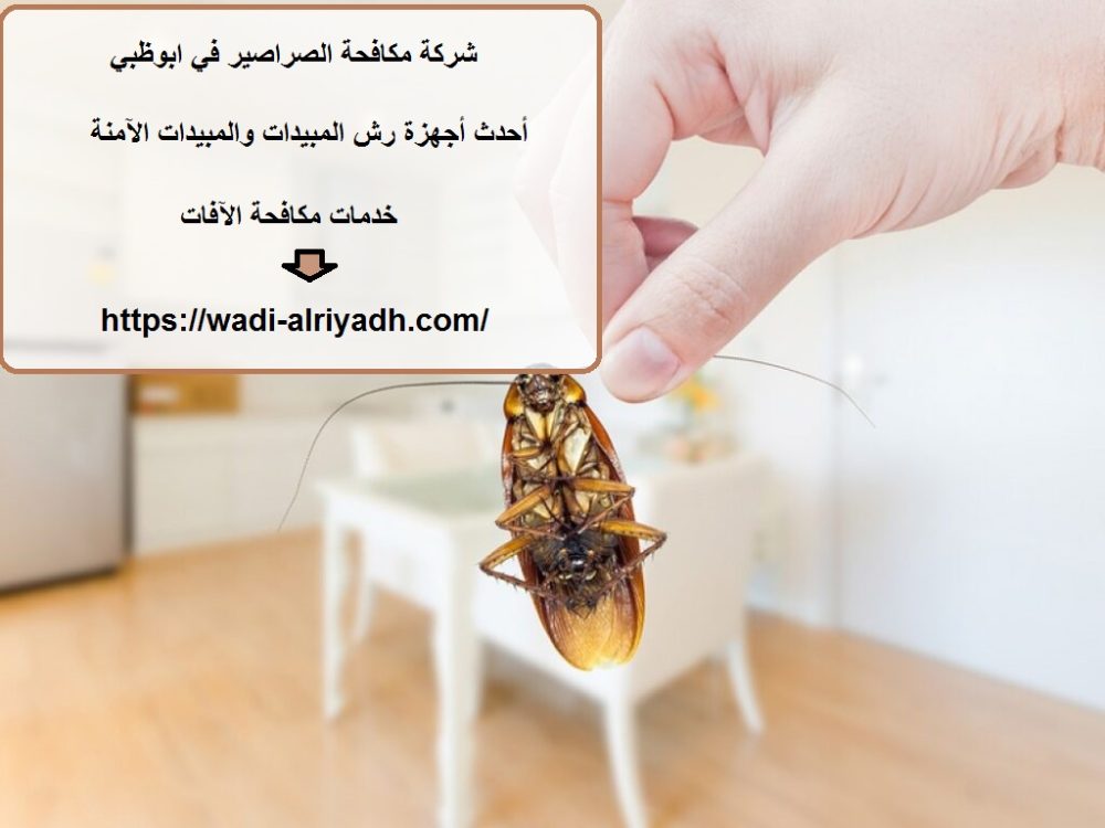 شركة مكافحة الصراصير في ابوظبي