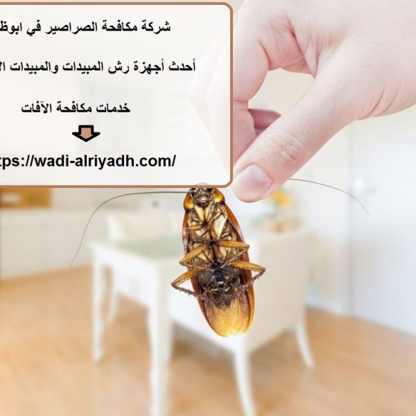شركة مكافحة الصراصير في ابوظبي