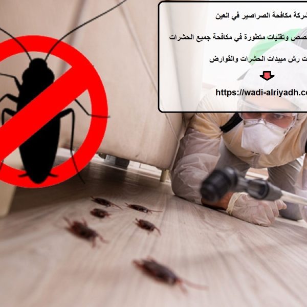 شركة مكافحة الصراصير في العين