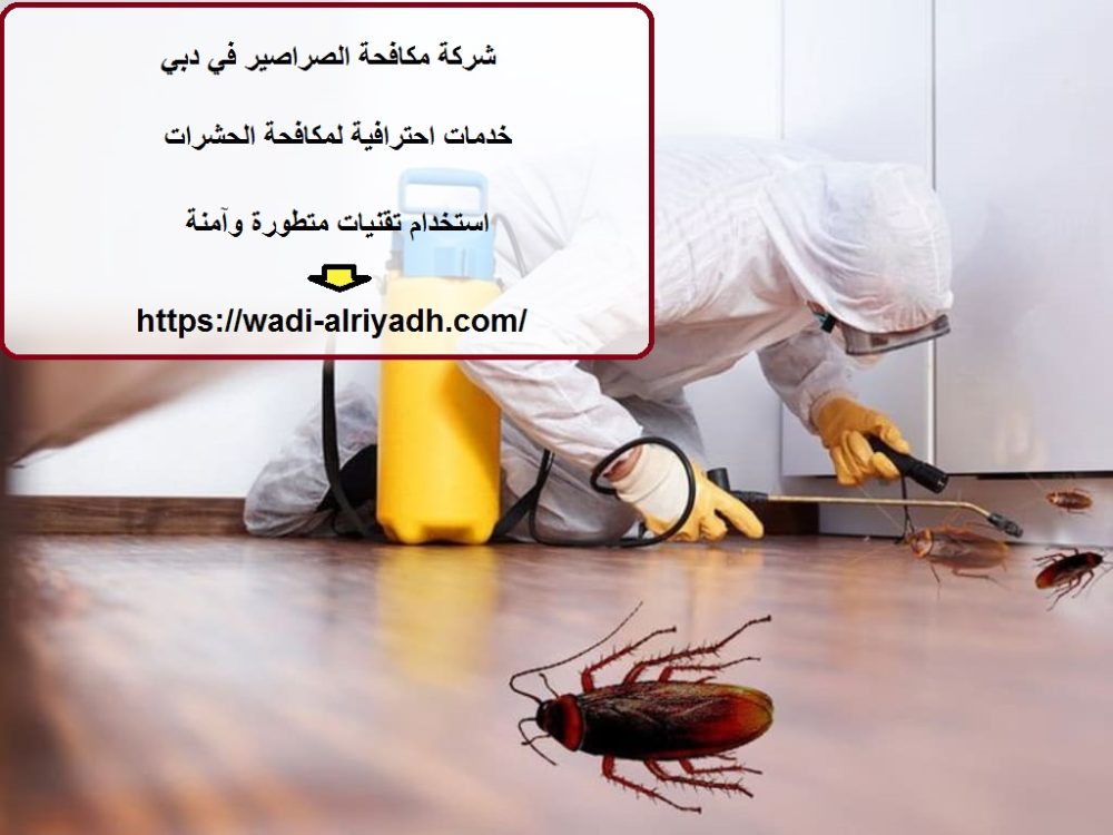 شركة مكافحة الصراصير في دبي