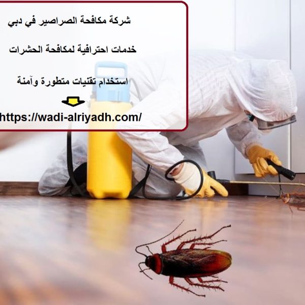 شركة مكافحة الصراصير في دبي
