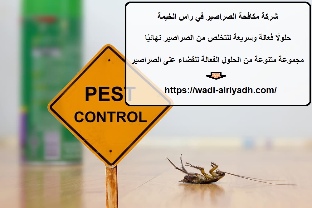 شركة مكافحة الصراصير في راس الخيمة
