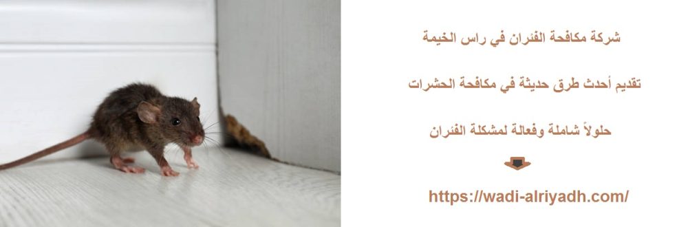 شركة مكافحة الفئران في راس الخيمة