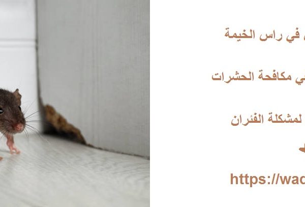 شركة مكافحة الفئران في راس الخيمة