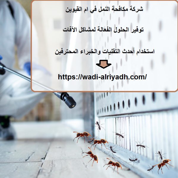 شركة مكافحة النمل في ام القيوين