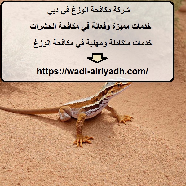 شركة مكافحة الوزغ في دبي