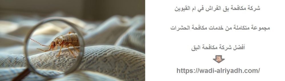 شركة مكافحة بق الفراش في ام القيوين