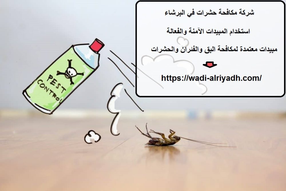 شركة مكافحة حشرات في البرشاء