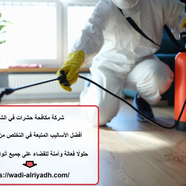 شركة مكافحة حشرات في الشارقة