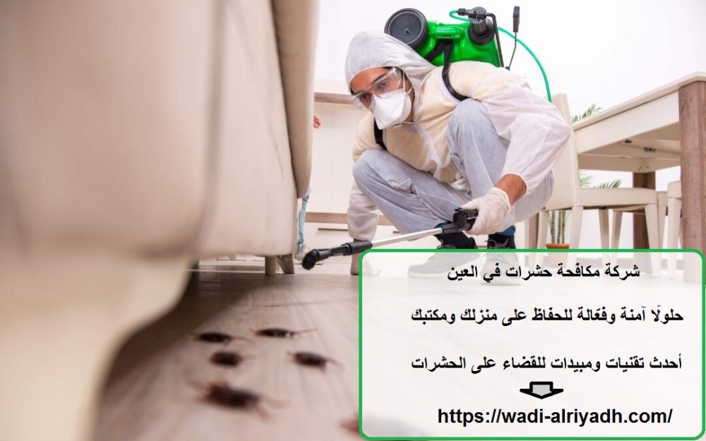 شركة مكافحة حشرات في العين