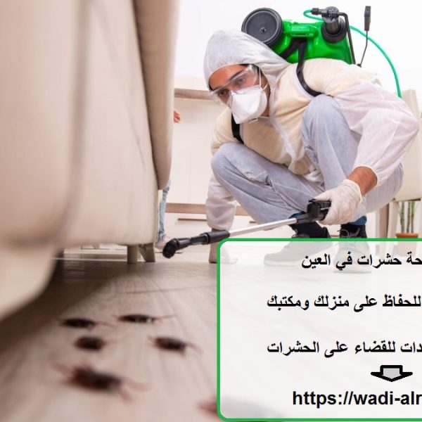 شركة مكافحة حشرات في العين