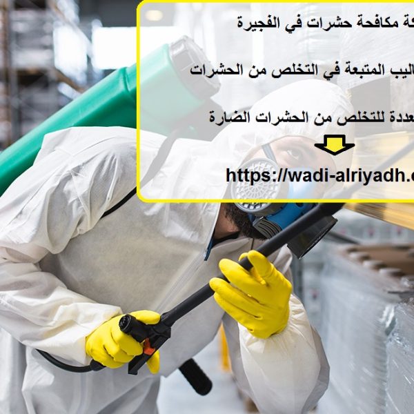 شركة مكافحة حشرات في الفجيرة