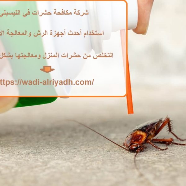 شركة مكافحة حشرات في الليسيلي