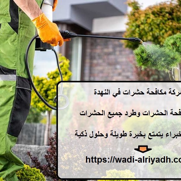 شركة مكافحة حشرات في النهدة