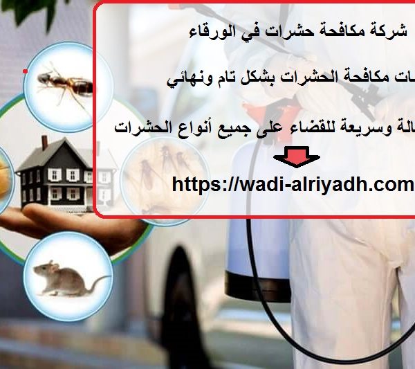 شركة مكافحة حشرات في الورقاء