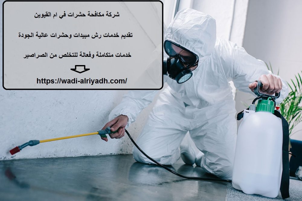 شركة مكافحة حشرات في ام القيوين
