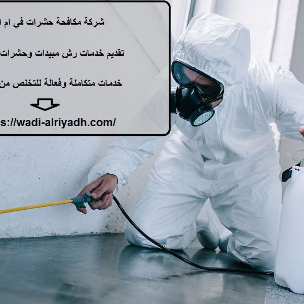 شركة مكافحة حشرات في ام القيوين