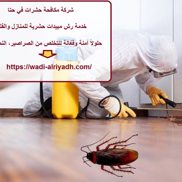 شركة مكافحة حشرات في حتا