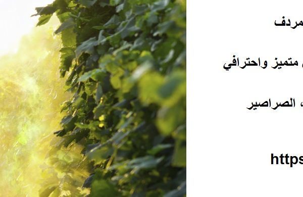 شركة مكافحة حشرات في مردف